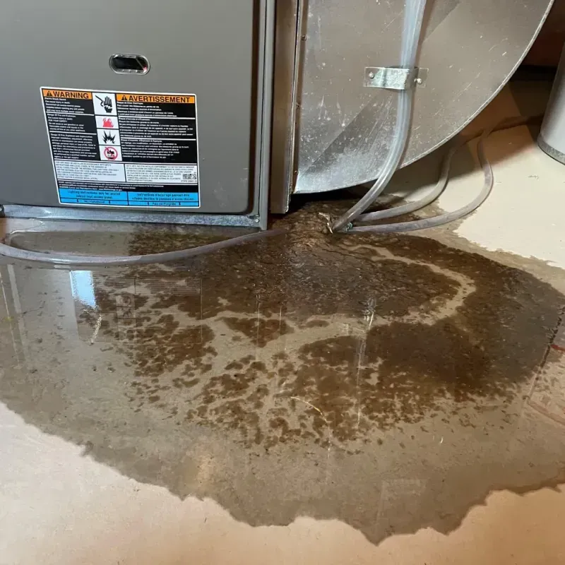 Appliance Leak Cleanup in Moss Bluff, LA